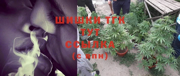 гидра Кукмор