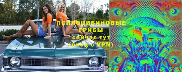 гидра Кукмор
