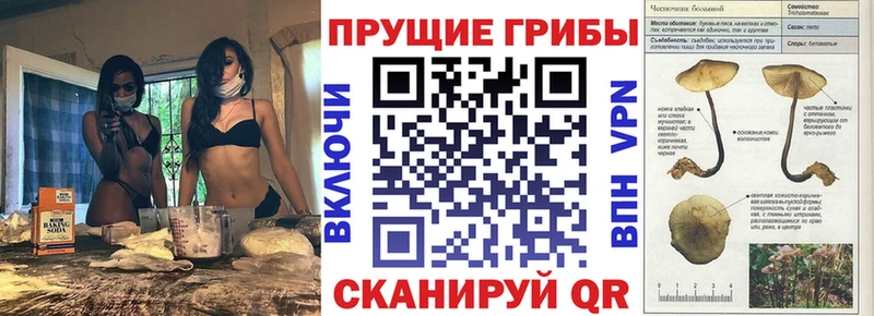 Галлюциногенные грибы Psilocybe  Купить  Озёры 
